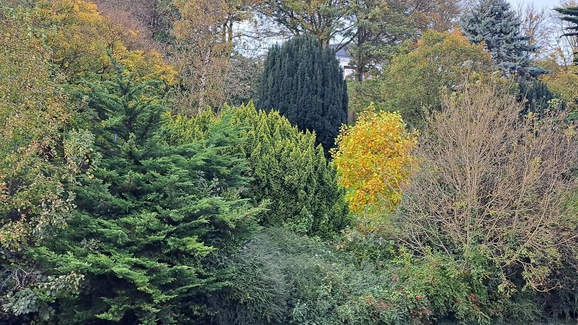 Rylstone Mere Γουίτμπι Ηνωμένο Βασίλειο